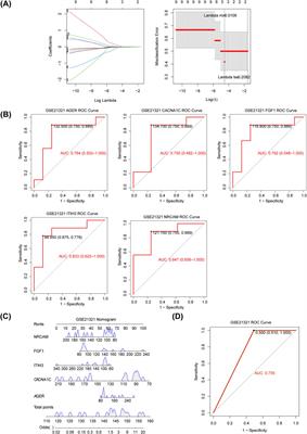 Identification and validation of diagnostic genes associated with neutrophil extracellular traps of type 2 diabetes mellitus